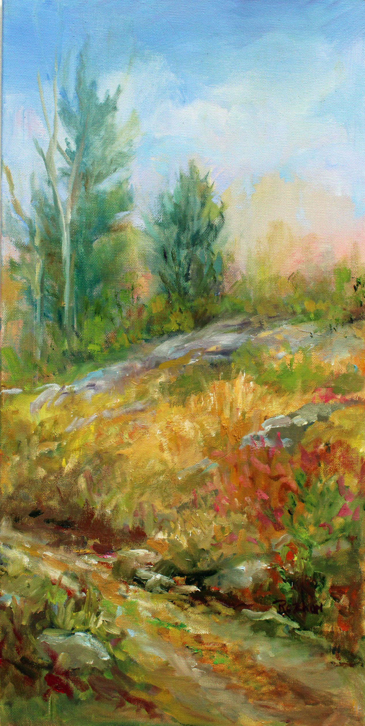Rocky Path